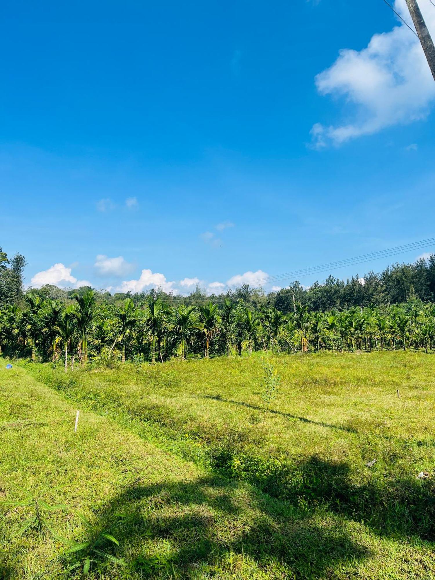 Preetham Homestay Kushālnagar Esterno foto